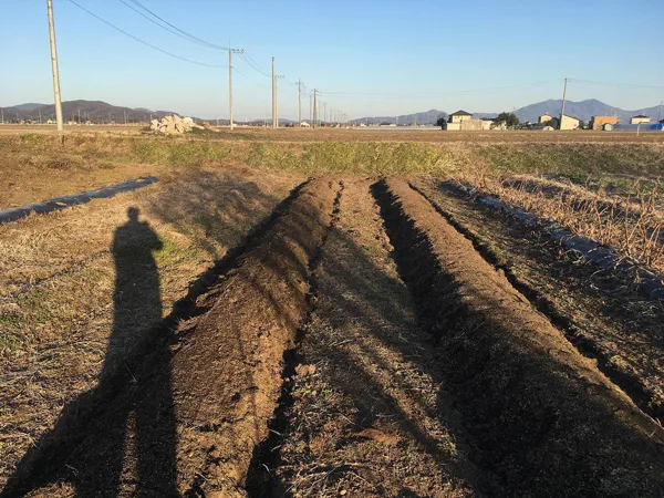 植え場所の準備